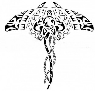 maori-steekrog